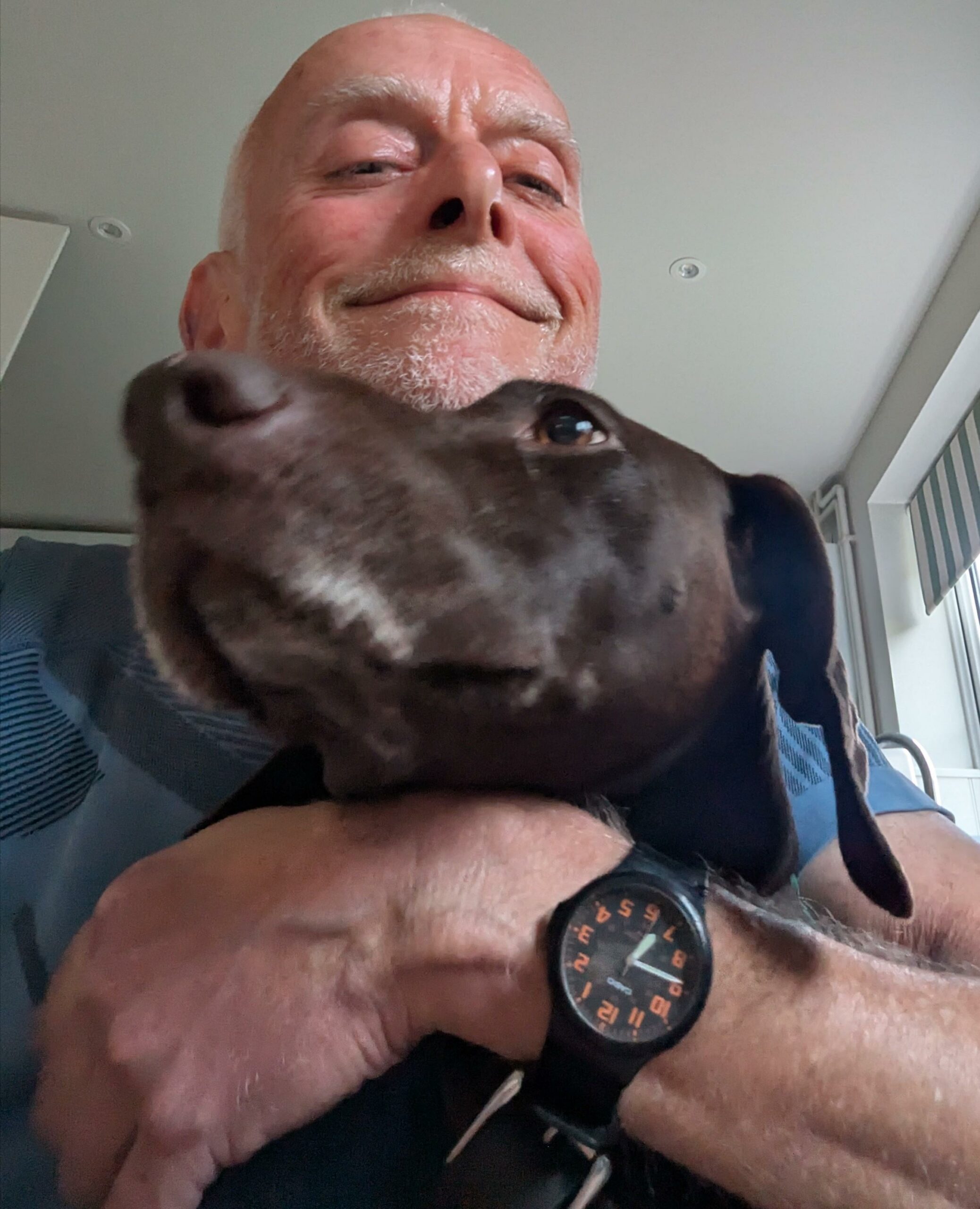 John O Dog Care