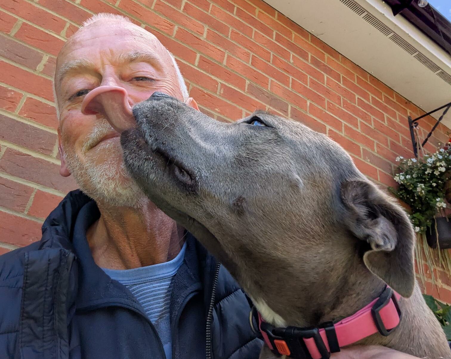 John O Dog Care